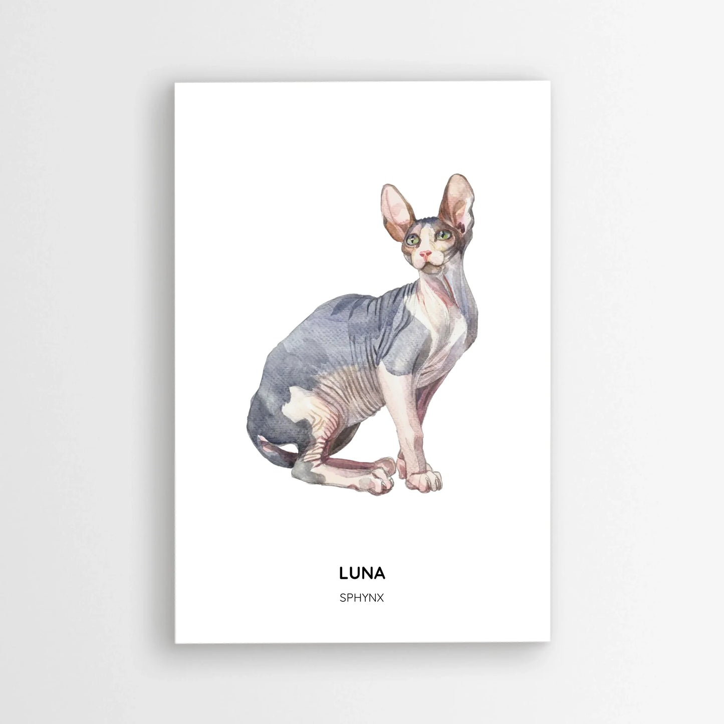 Poster_mockup-area_20x30