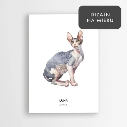 Personalizovaný plagát mačka Sphynx s vlastným menom – Štýlová ilustrácia a darček pre milovníkov mačiek