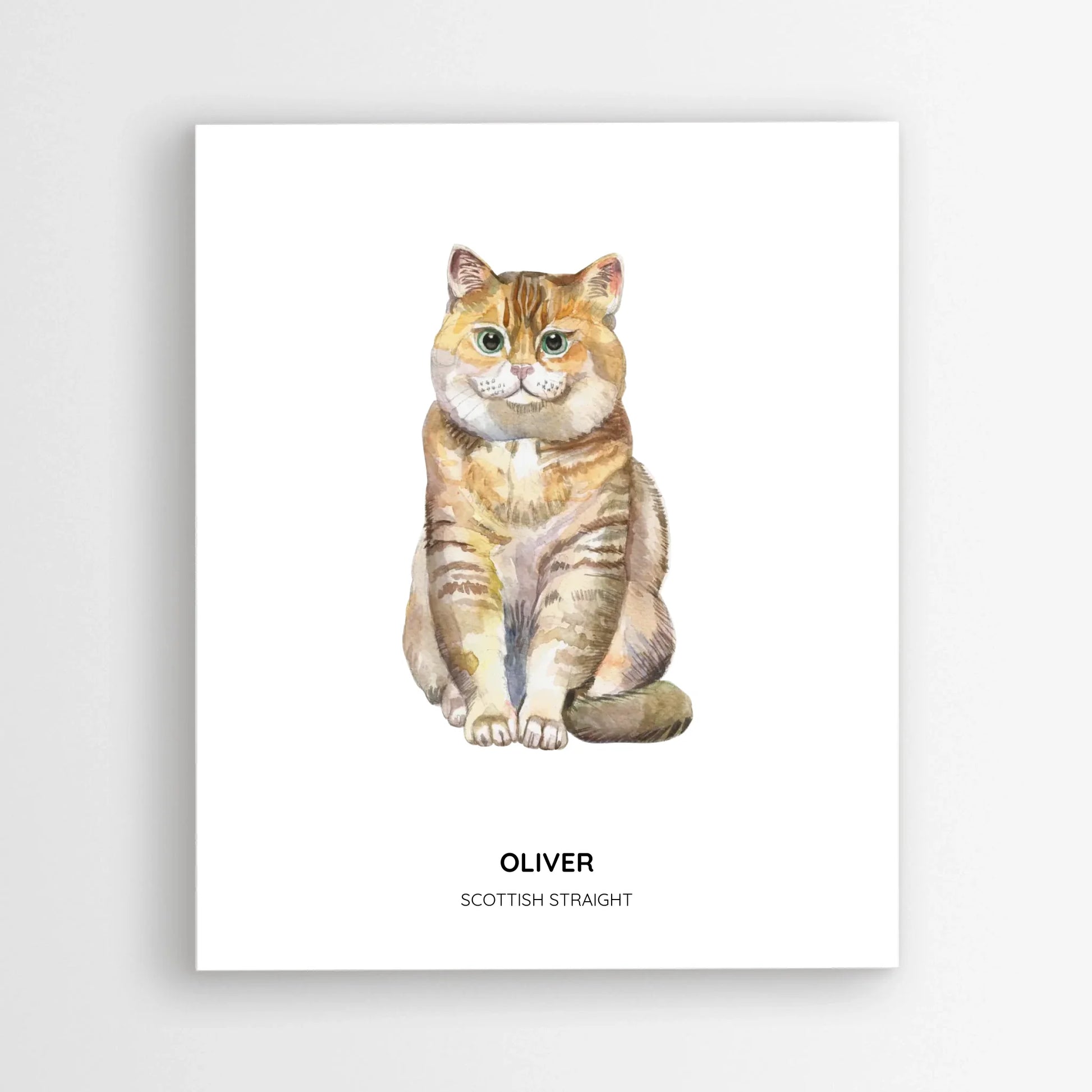 Poster_mockup-area_50x60