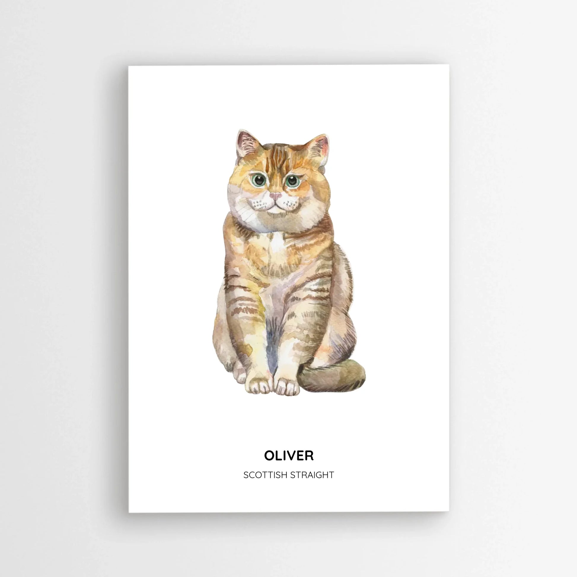 Poster_mockup-area_50x70