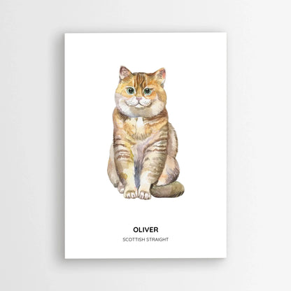 Poster_mockup-area_50x70