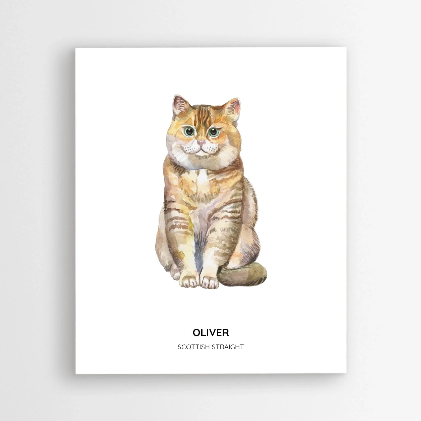 Poster_mockup-area_50x60