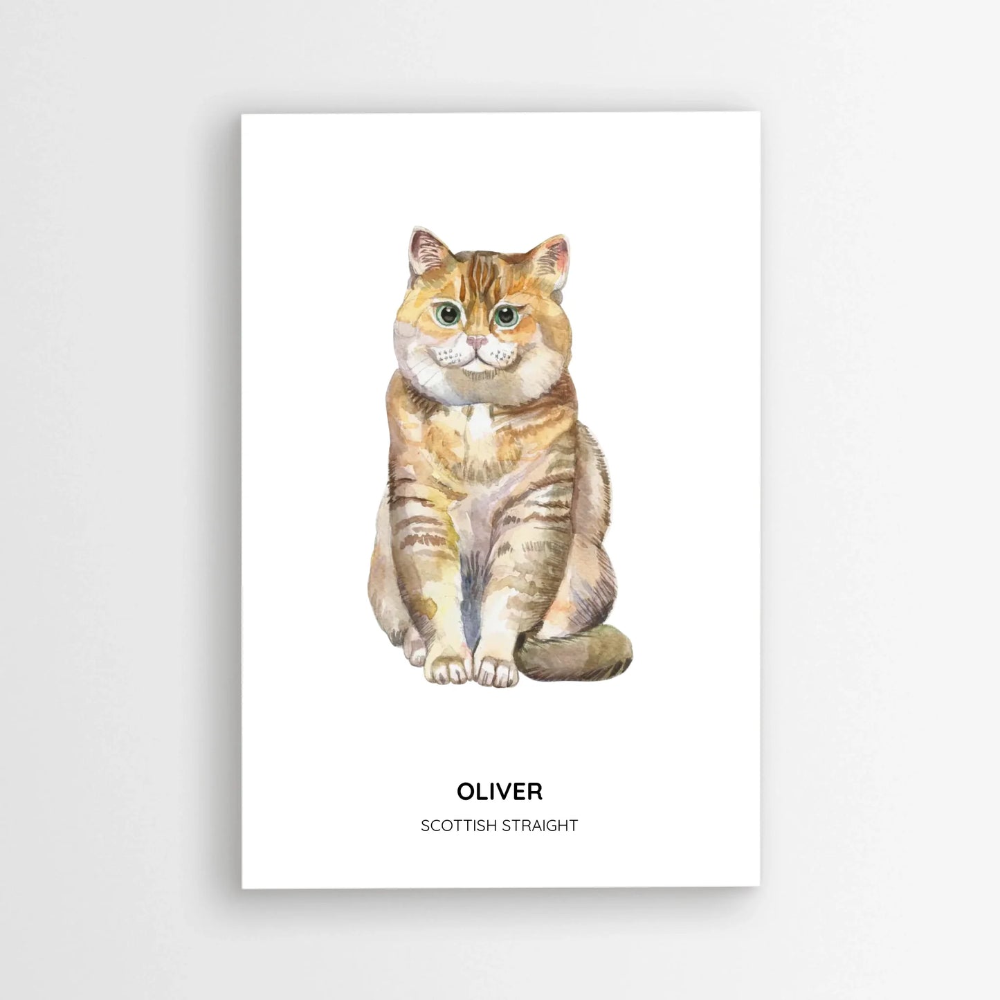 Poster_mockup-area_20x30