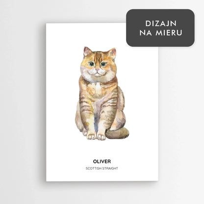 Plagát Scottish Straight s menom mačky – Personalizovaná dekorácia a obraz pre mačkárov