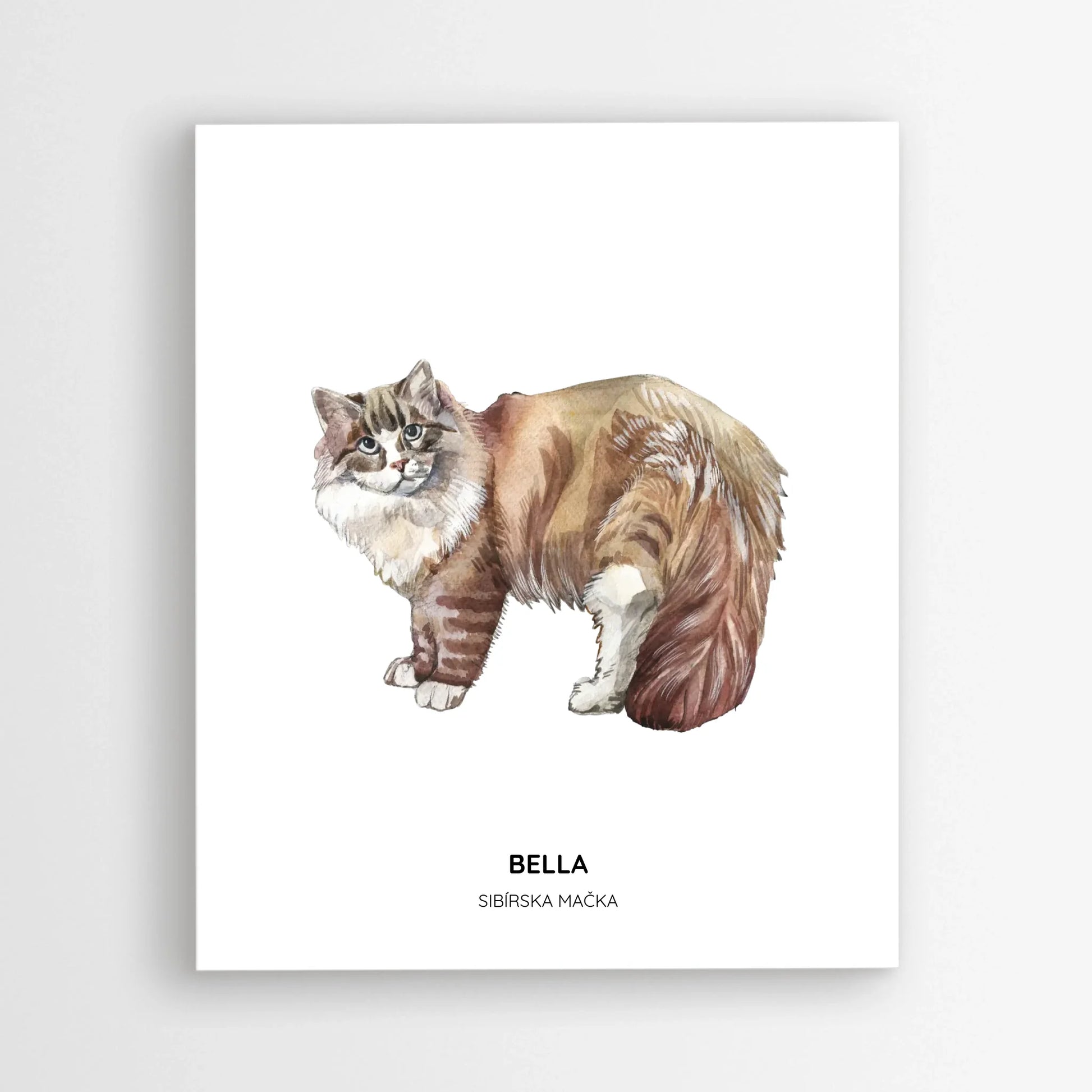 Poster_mockup-area_50x60