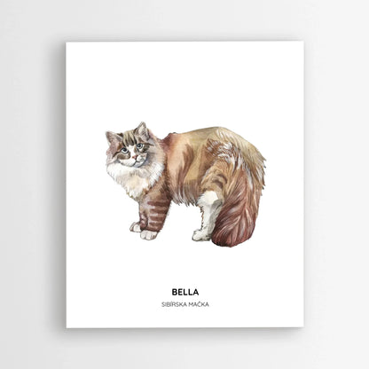 Poster_mockup-area_50x60