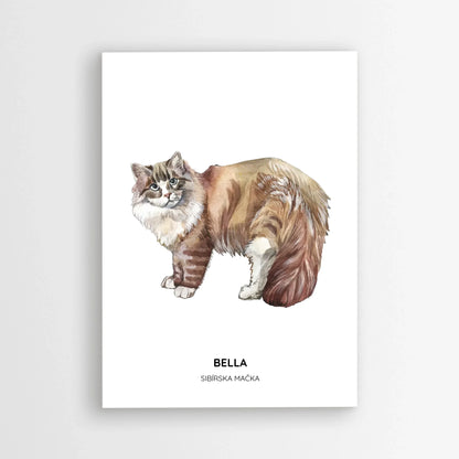 Poster_mockup-area_50x70