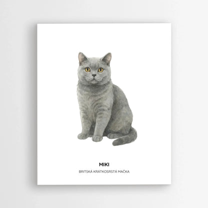 Poster_mockup-area_50x60