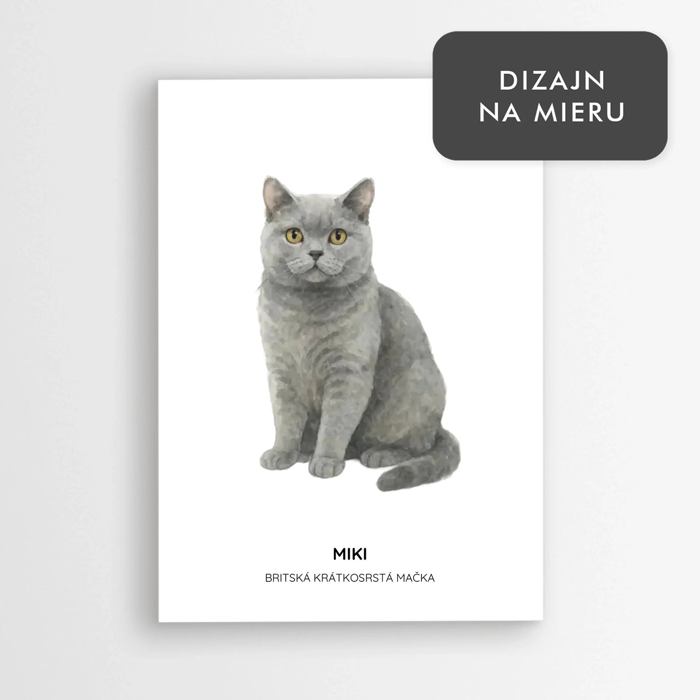 Ilustrácia mačky s menom - Britská krátkosrstá