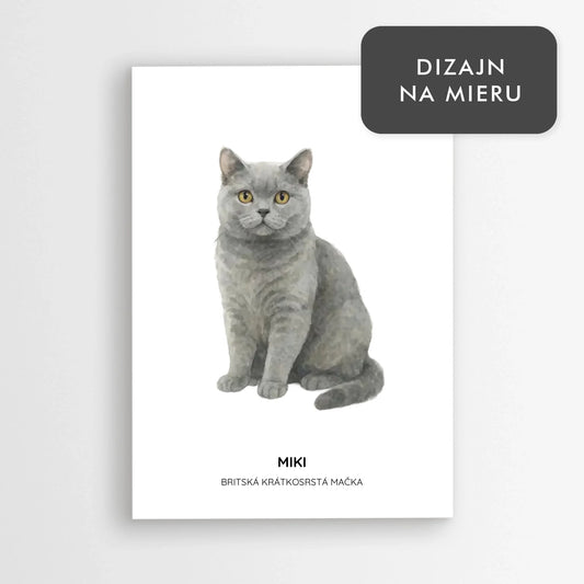 Ilustrácia mačky s menom - Britská krátkosrstá