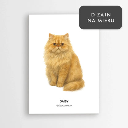 Ilustrácia mačky s menom - Pérzska mačka