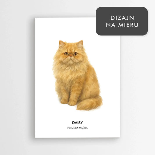 Ilustrácia mačky s menom - Pérzska mačka